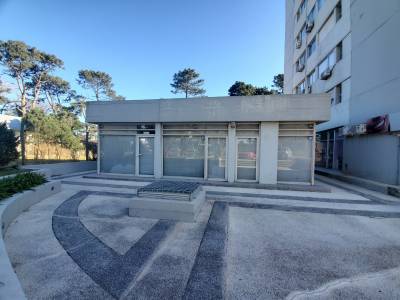 Local comercial sobre Avda Roosevelt en alquiler anual Local comercial sobre Avda Roosevelt en alquiler anual