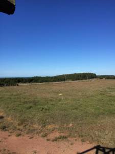 Campo en venta