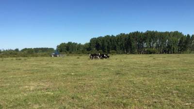 Campo en venta