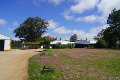 Campo en venta